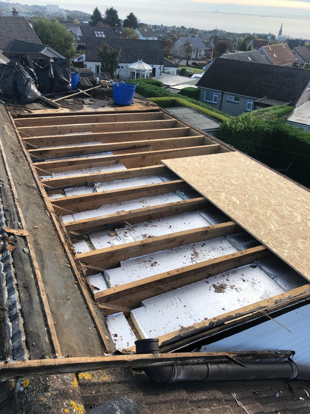 Flat roof being rebuilt — joists and insulation exposed, OSB going down